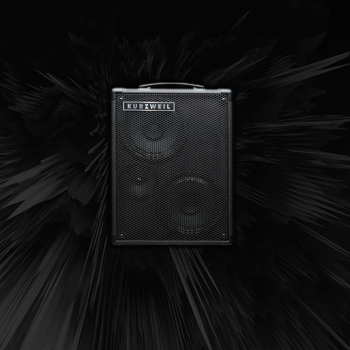 Instrument-Amplifiers